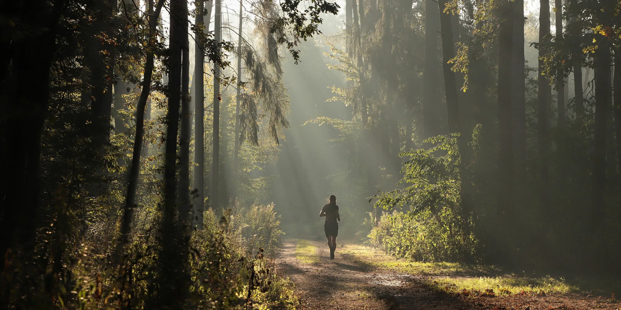 Seniorenresidenz Fischbeker Höfe